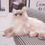 3lbs Tracy Weighted  –Relaxing Cat Toy Comfort Calming Plush