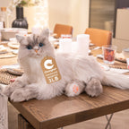 3lbs Tracy Weighted  –Relaxing Cat Toy Comfort Calming Plush