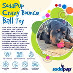 Crazy Bounce Rubber Dog Chew Toy for Power Chewers | Retrieving Ball | USA Made