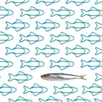 Sardine Paper Clips