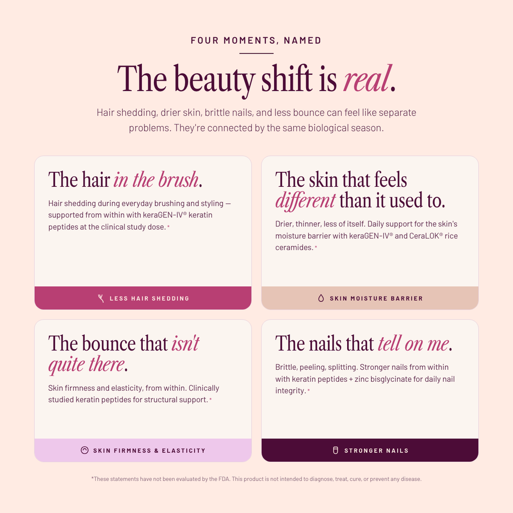 Beauty Blend