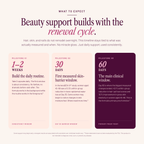 Beauty Blend